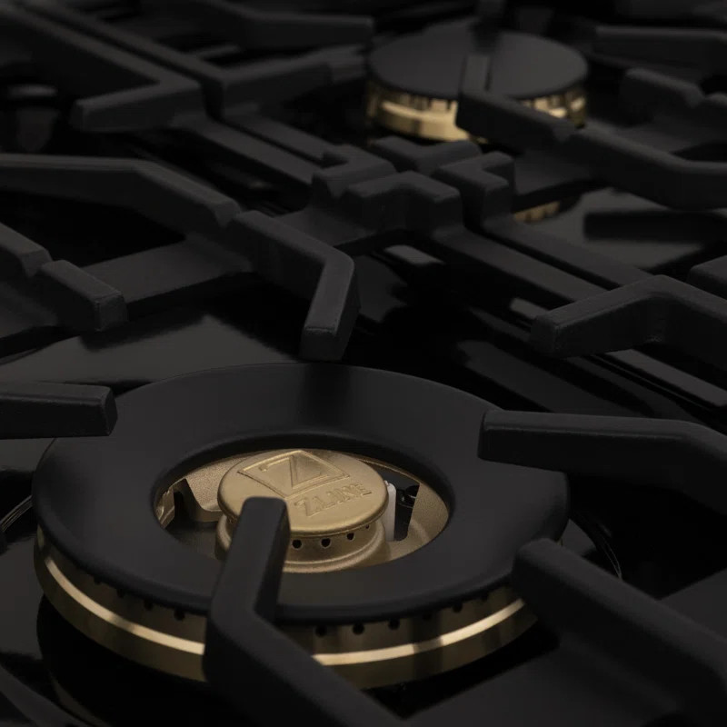 ZLINE Autograph 48" Legacy Dual Fuel Range in Black Stainless Steel | Wayfair North America