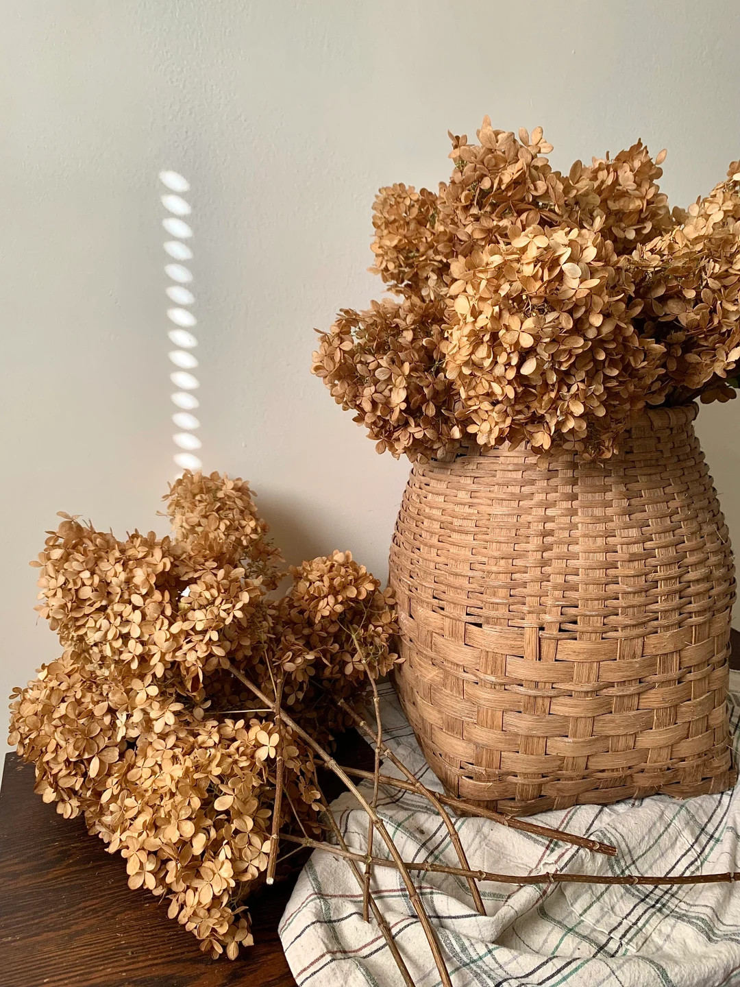 Dried Rustic Brown Limelight Hydrangea Bouquet, 5 Stem Bunch, Autumn Holiday Decor, Table Centerp... | Etsy (US)