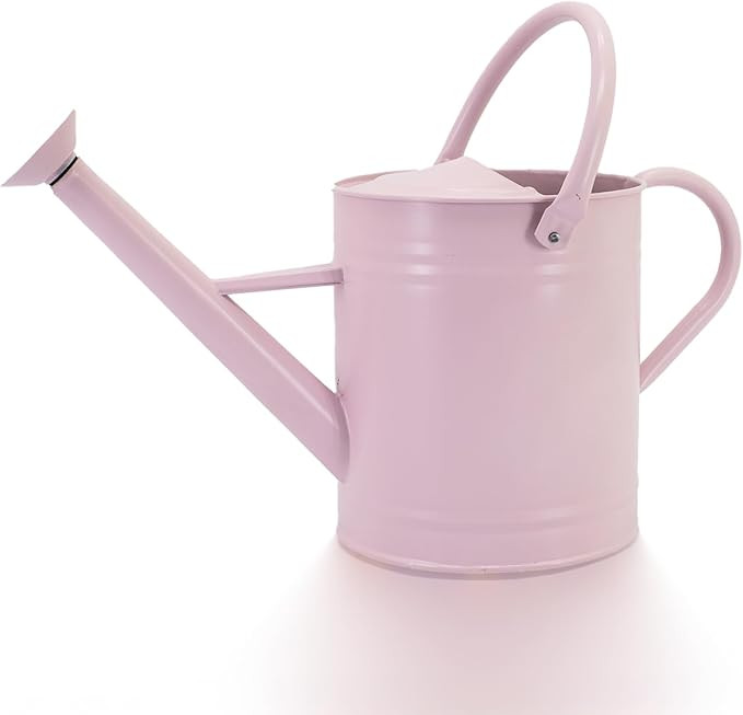 1 Gallon Watering Can, Matte Pink (Almost Manve), Metal Watering Can with Removable Spout, Galvan... | Amazon (US)
