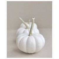 White Pumpkins Photography, White Kitchen Art, Vertical Print 11x14, 18x24, Fine Art Print, Still Li | Etsy (US)