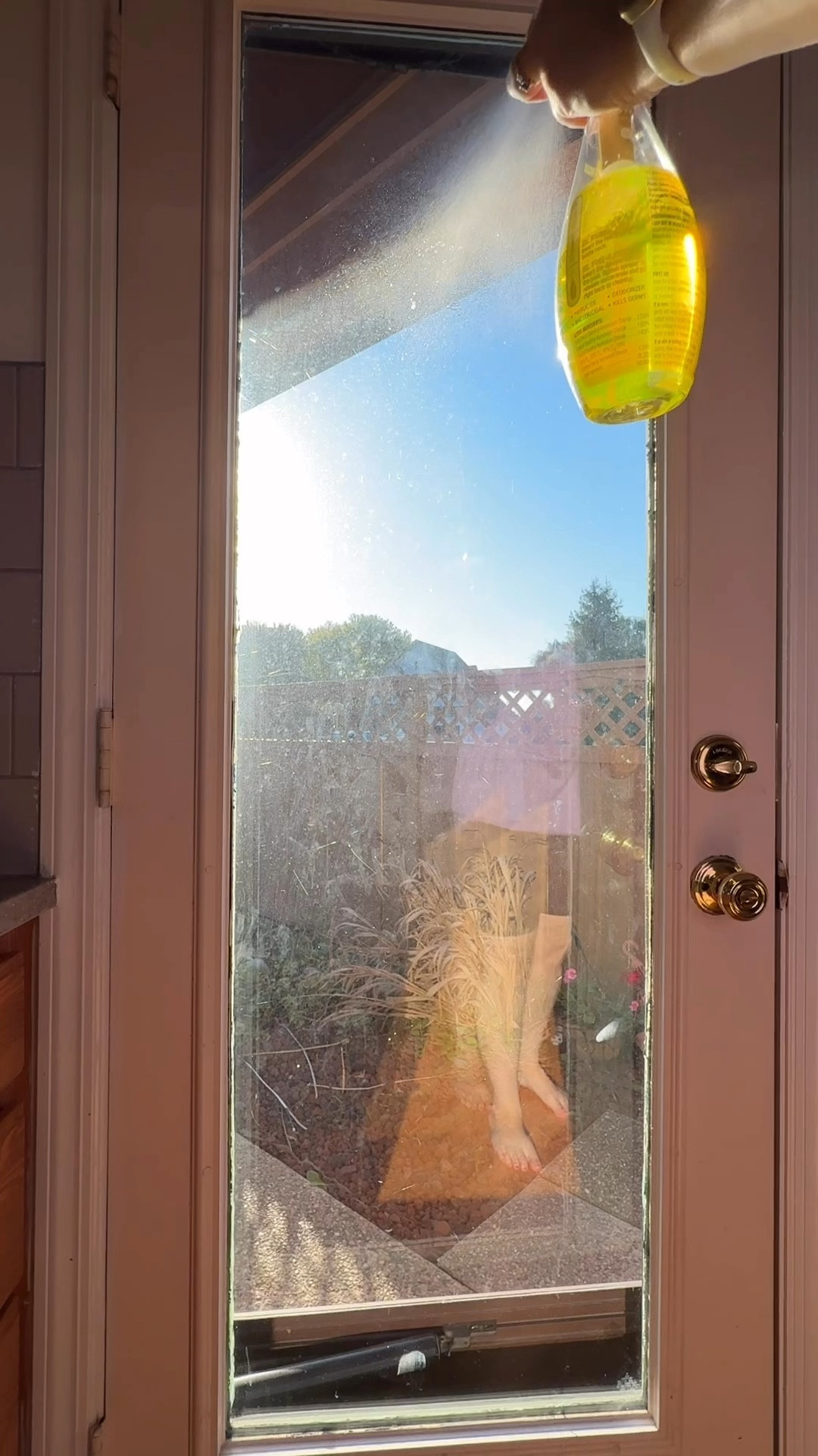 Sunday reset + cleaning motivation 🧼🧹   #cleaning #cleaningmotivation #cleanwithme

#LTKVideo #LTKHome