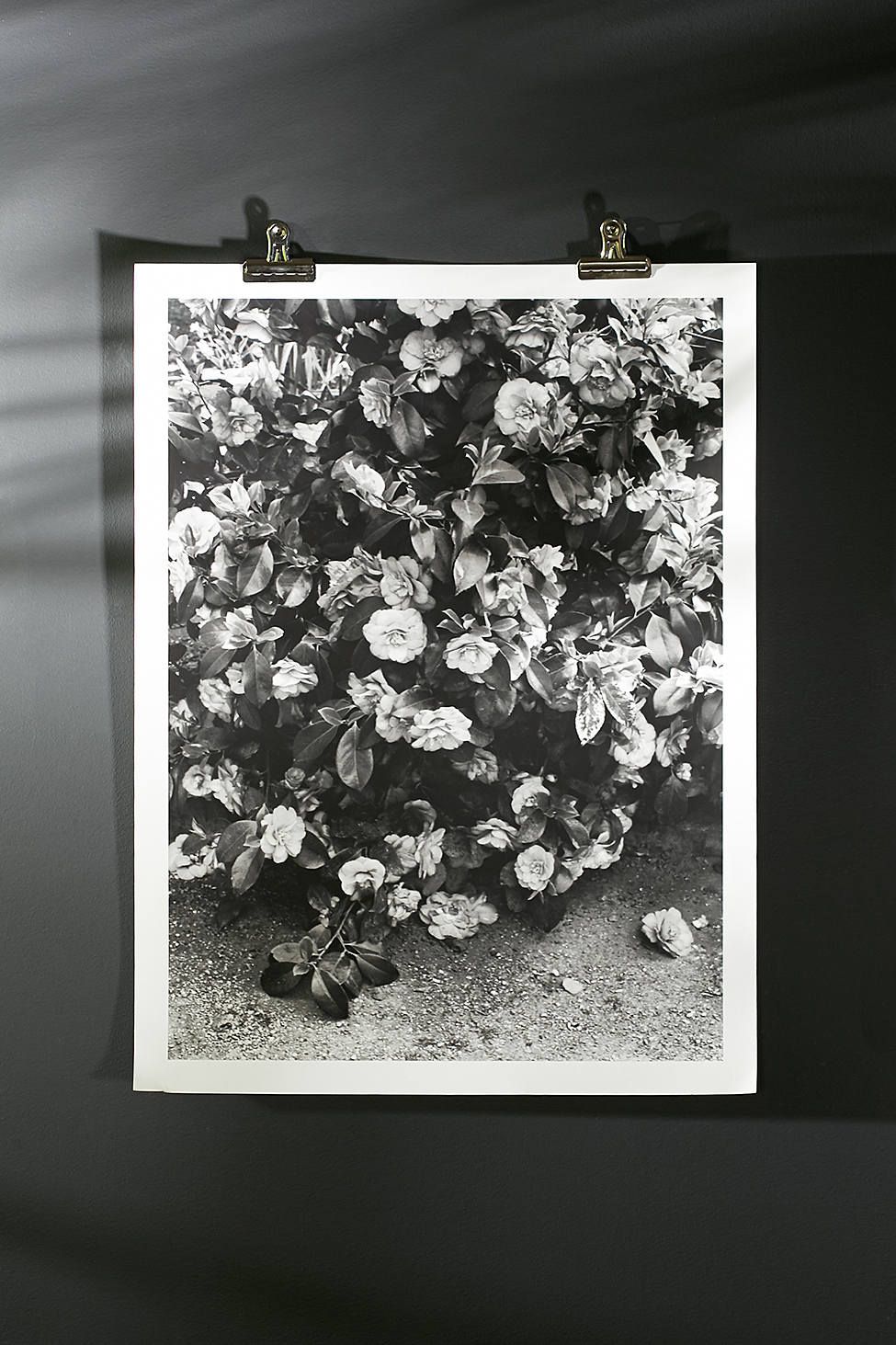 Debbie Carlos Black And White Flowers Art Print | Urban Outfitters US