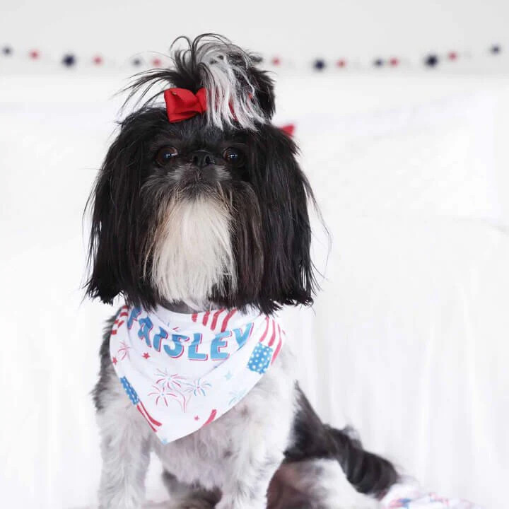 Fireworks & Freedom Personalized Pet Bandana | Caden Lane