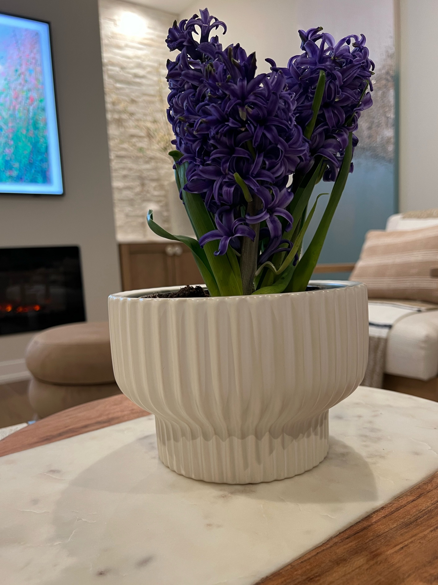 Affordable Walmart Planter. 

#LTKhome #LTKFind #LTKSeasonal