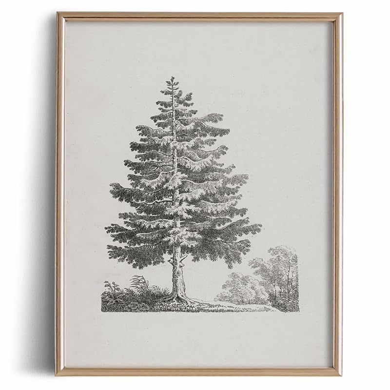 Mountains Trees Nature Etching Rustic Picture - Vintage Farmhouse Engrave Line Wall Art - Landsca... | Amazon (US)