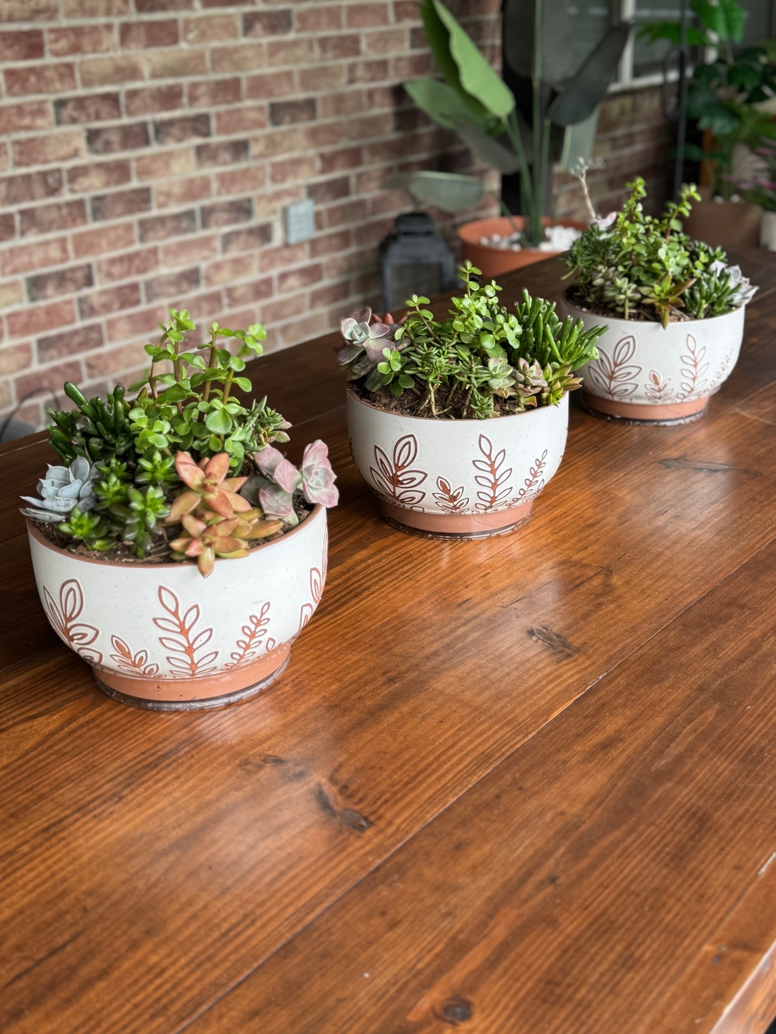 Loving these planters we added to our outdoor dining table 

#LTKHome #LTKSeasonal
