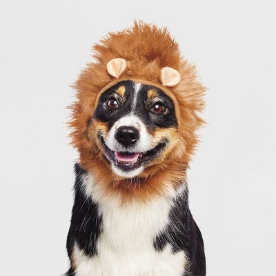 Lion Halloween Dog and Cat Headwear - XXS/XS - Boots & Barkley™ | Target
