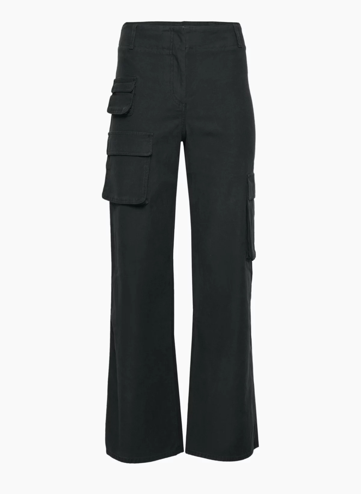 PICTURE CARGO PANT | Aritzia