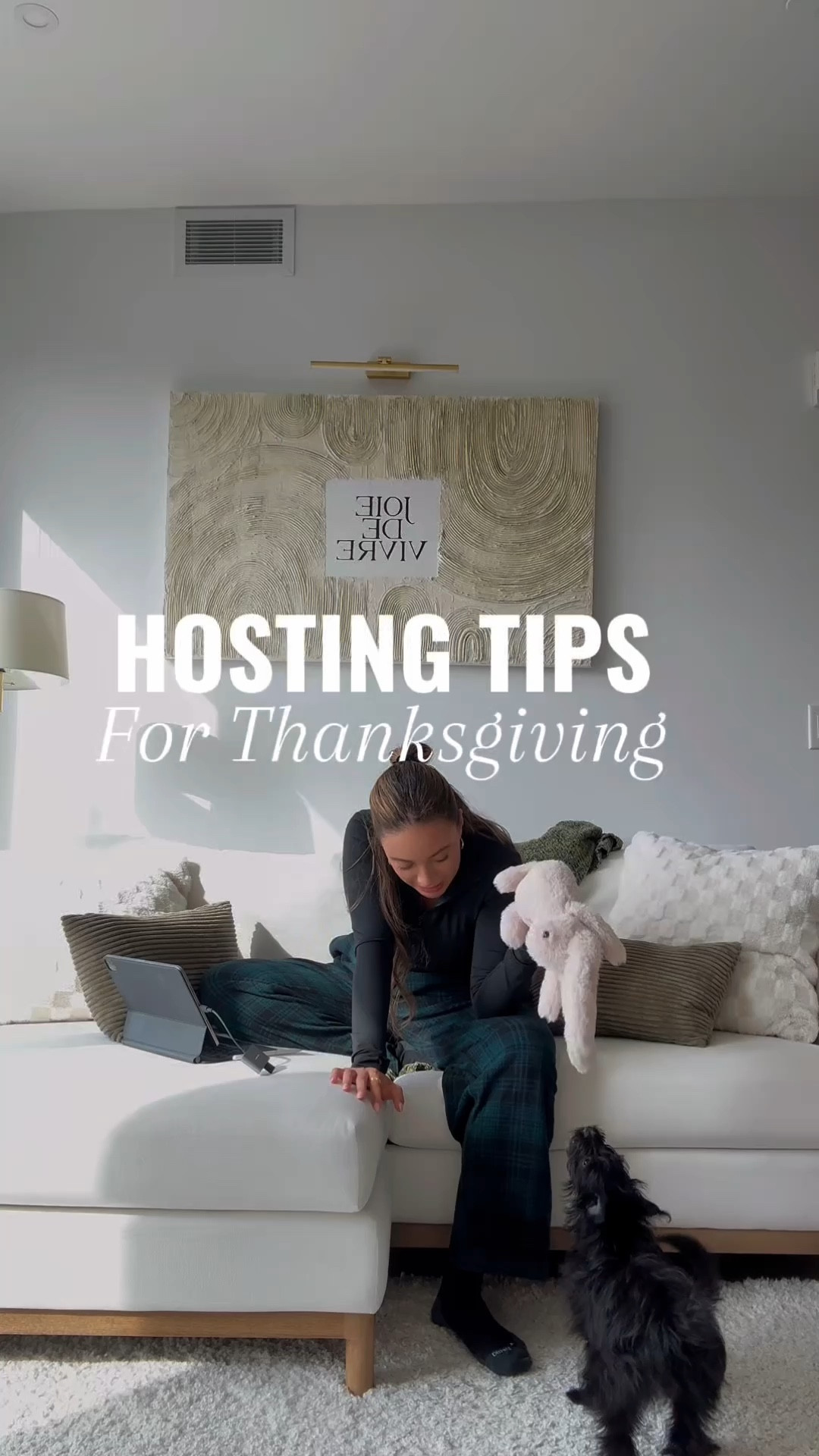 Hosting essentials for Thanksgiving! This is what I use to keep me couches and carpet looking clean🧼

#LTKHoliday #LTKHome #LTKSeasonal