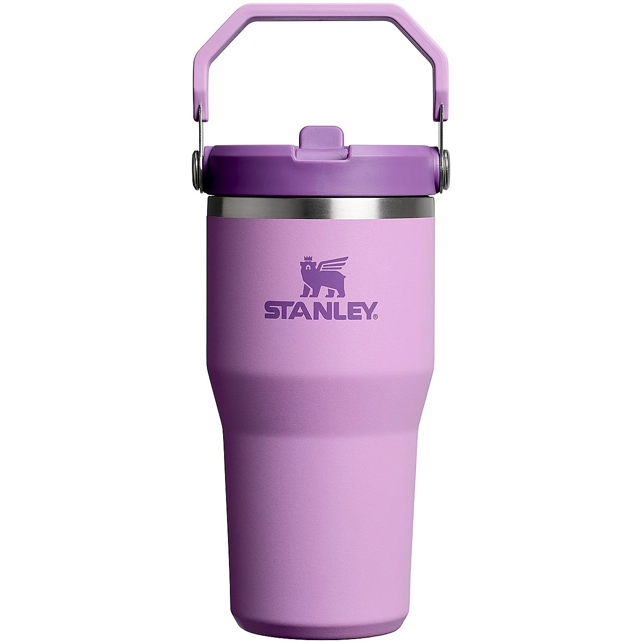 Stanley 20 oz Iceflow Flipstraw 2.0 Tumbler | Academy Sports + Outdoors
