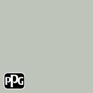 1 gal. PPG1128-4 Balsam Eggshell Interior Paint | The Home Depot
