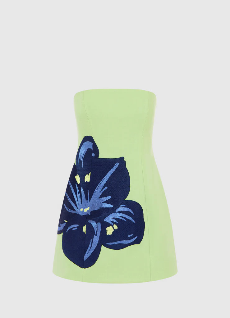 Roselle Embroidered Bustier Mini Dress - Hibiscus in Matcha | LEO LIN