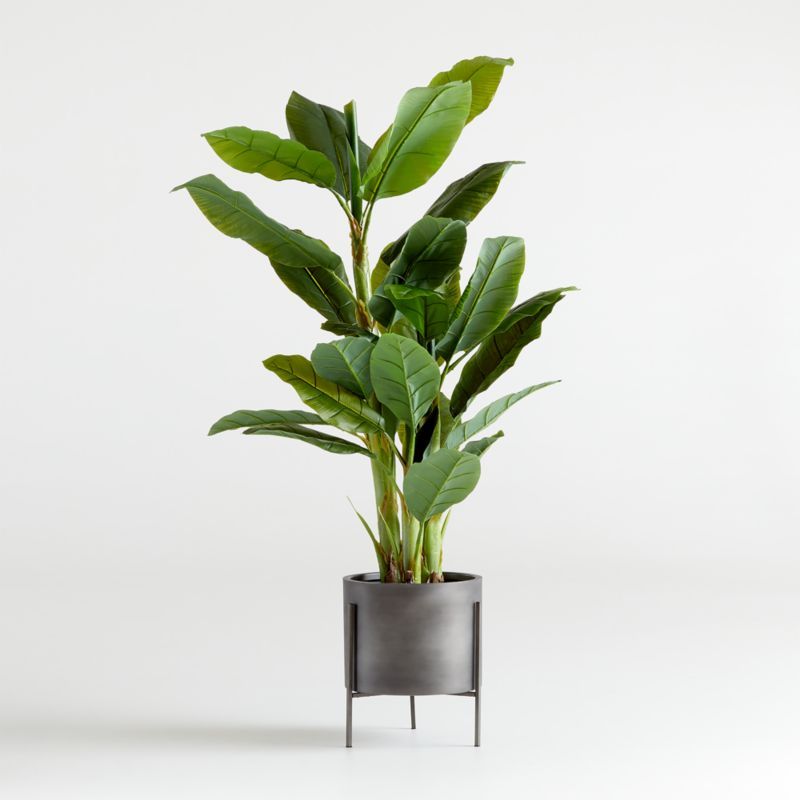 Artificial/Faux Banana Tree 6' + Reviews | Crate & Barrel | Crate & Barrel