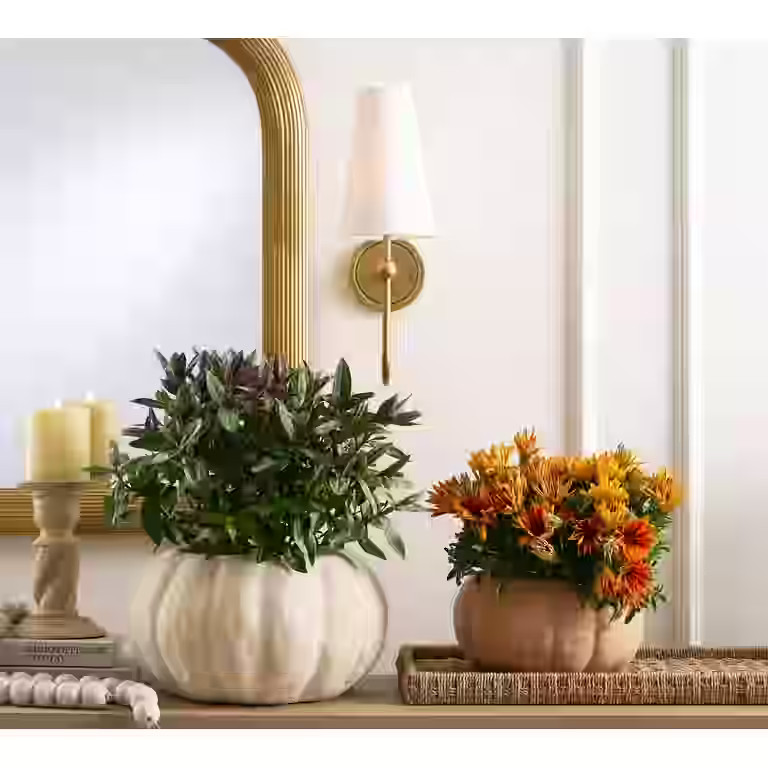 Terracotta Pumpkin Planter Pot, 11.25-Inch Diameter Rustic Cachepot for Fall Decor 2025 New, 2025... | Walmart (US)