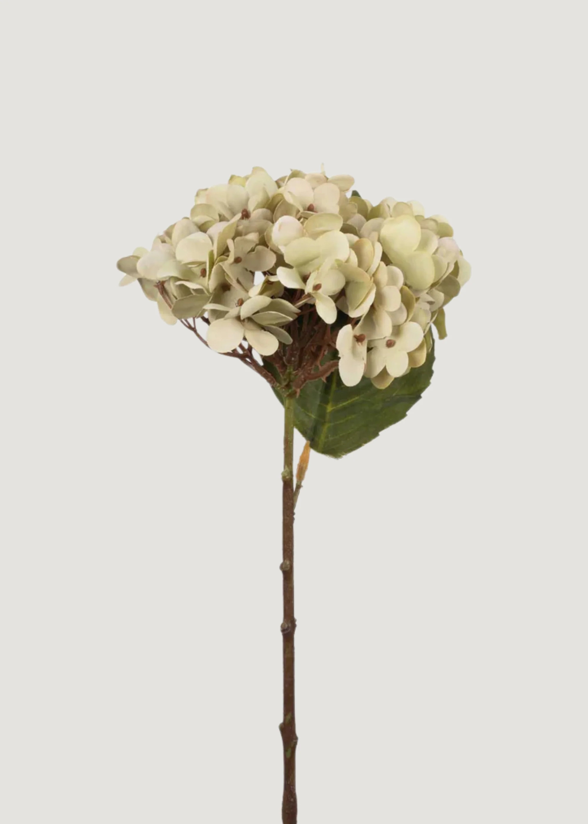 Abigail Ahern Artificial Hydrangea Flower in Soft Green - 13.25 | Afloral