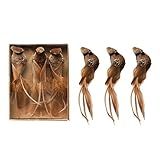 Creative Co-Op 6-1/2"L x 2-1/2"H Faux Bird Clip w/Feather Wings & Tails, Brown, Boxed Set of 3 Or... | Amazon (US)