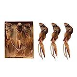 Creative Co-Op 6-1/2"L x 2-1/2"H Faux Bird Clip w/Feather Wings & Tails, Brown, Boxed Set of 3 Or... | Amazon (US)