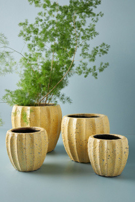 Sonny Pot | Anthropologie (US)