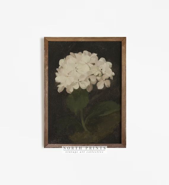 Hydrangea Painting | Vintage Flower Print | Antique Botanical Art PRINTABLE | 326 | Etsy (US)