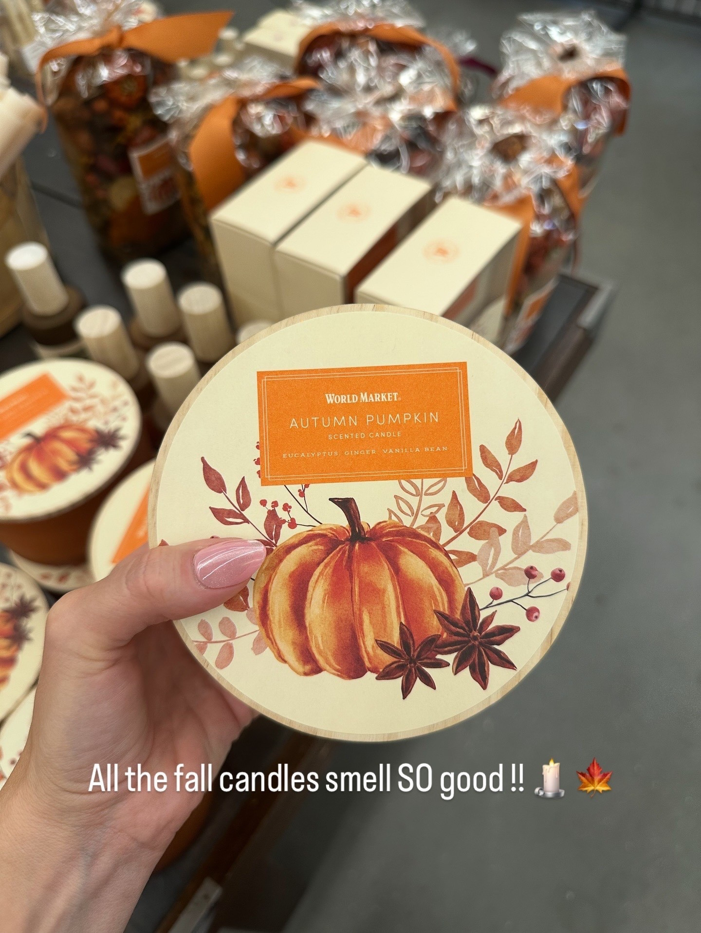 Fall candles are my absolute favorite!!  Do you like the fall scents ?? Let me know below !! 

#LTKStyleTip #LTKFindsUnder50 #LTKSeasonal