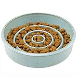 Bandit Bowl Slow Feeder Dog Bowl - TOY MADE TO ORDER - Ceramic Stoneware Handmade in the USA | Amazon (US)