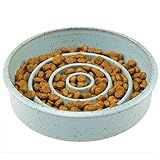 Bandit Bowl Slow Feeder Dog Bowl - TOY MADE TO ORDER - Ceramic Stoneware Handmade in the USA | Amazon (US)