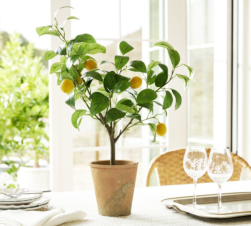 Monique Lhuillier Faux Lemon Tree | Pottery Barn (US)