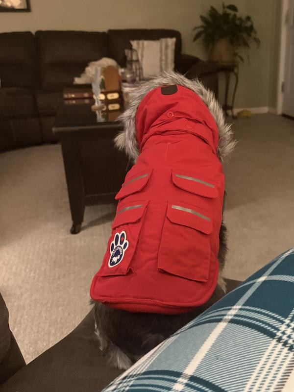 Canada Pooch Everest Explorer Premium Faux Down Insulated Dog Jacket, Red Reflective, 8 | Chewy Canada