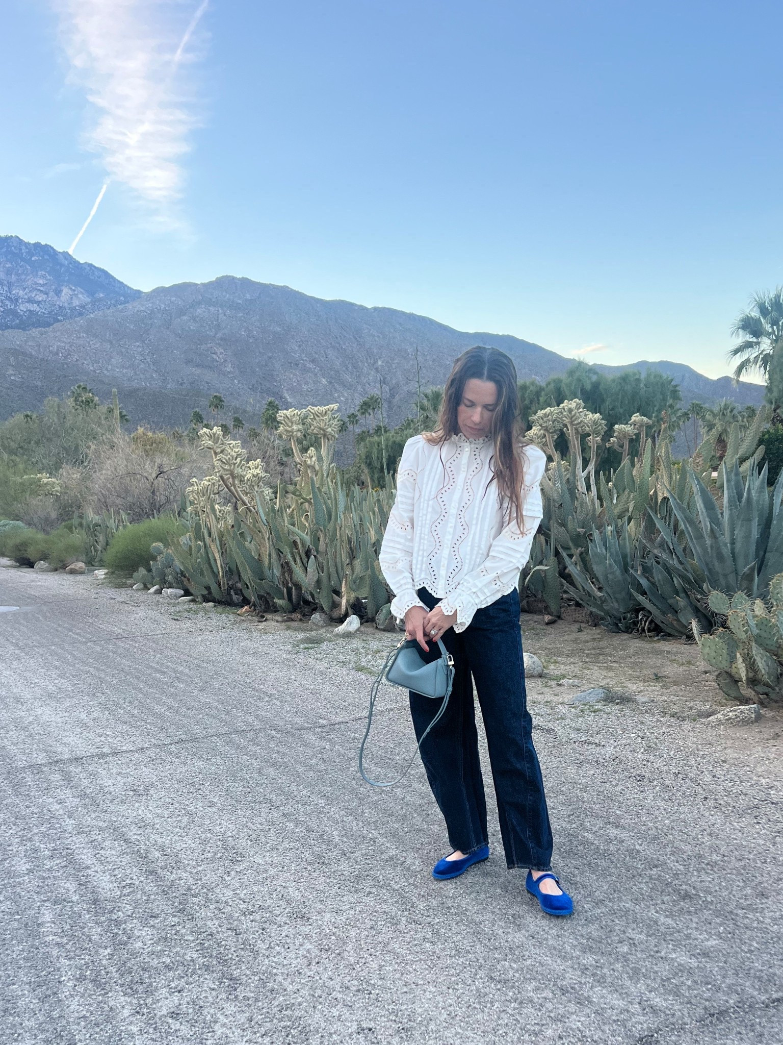 Quiet luxury, French girl aesthetic, Sezane, white lace top, simple white top, work top, going out top, over 40 going out top, perfect barrel jeans, bright blue flats, velvet Mary jeans, gap jeans, Flabelus, the horse, cool girl bag 

#LTKOver40 #LTKmomlife #LTKootd