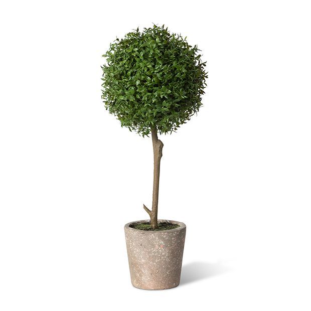 Faux Thyme Ball Topiary In Pot | Antique Farm House