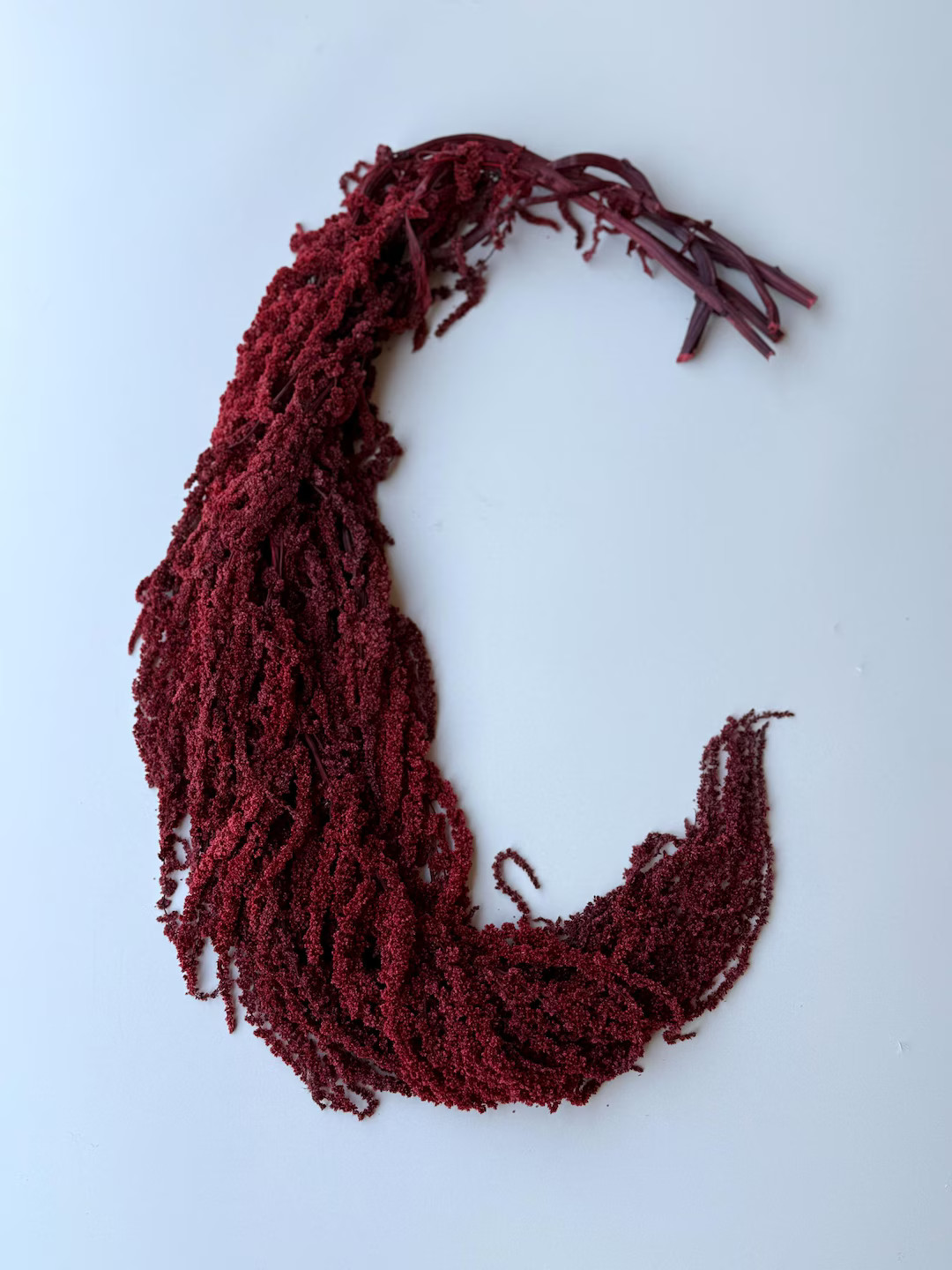 Hanging Amaranthus - Brick Red - Etsy | Etsy (US)