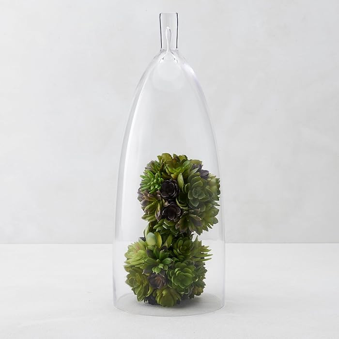 Z Gallerie Jules Cloche Hand-Blown Glass Display Dome, Elegant Terrarium for Curated Decor, Artis... | Amazon (US)