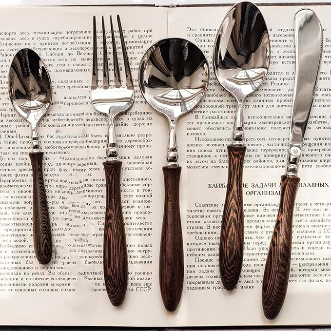 20 Piece Silverware Set Service for 4,Premium Wooden Handle Stainless Steel Flatware Set Home Inc... | Amazon (US)