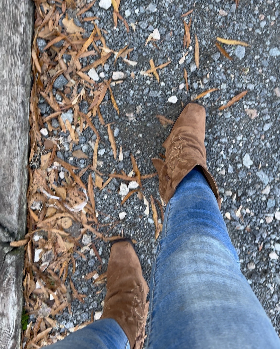 Fall boots from Walmart! So cute! Feels like suede. 

Comment “SHOP” for the link! Also in my LTK.

#walmartpartner #noboundaries #walmartboots #thanksgiving 

#LTKShoeCrush #LTKSeasonal #LTKStyleTip