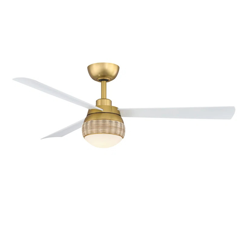 Paget 52'' Ceiling Fan with LED Lights | Wayfair North America