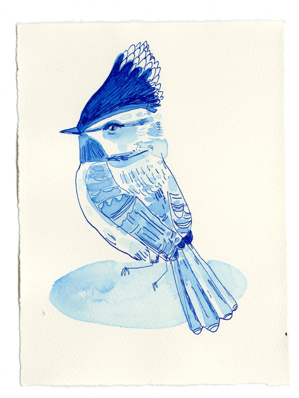 Blue bird | Artfully Walls