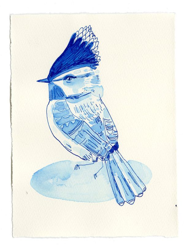 Blue bird | Artfully Walls