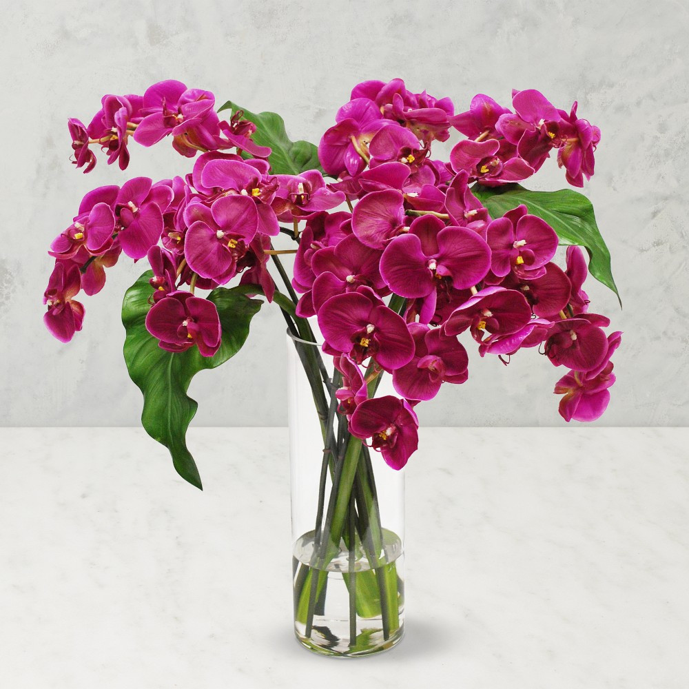 Faux Phalaenopsis Orchid in Slim Vase | Williams-Sonoma