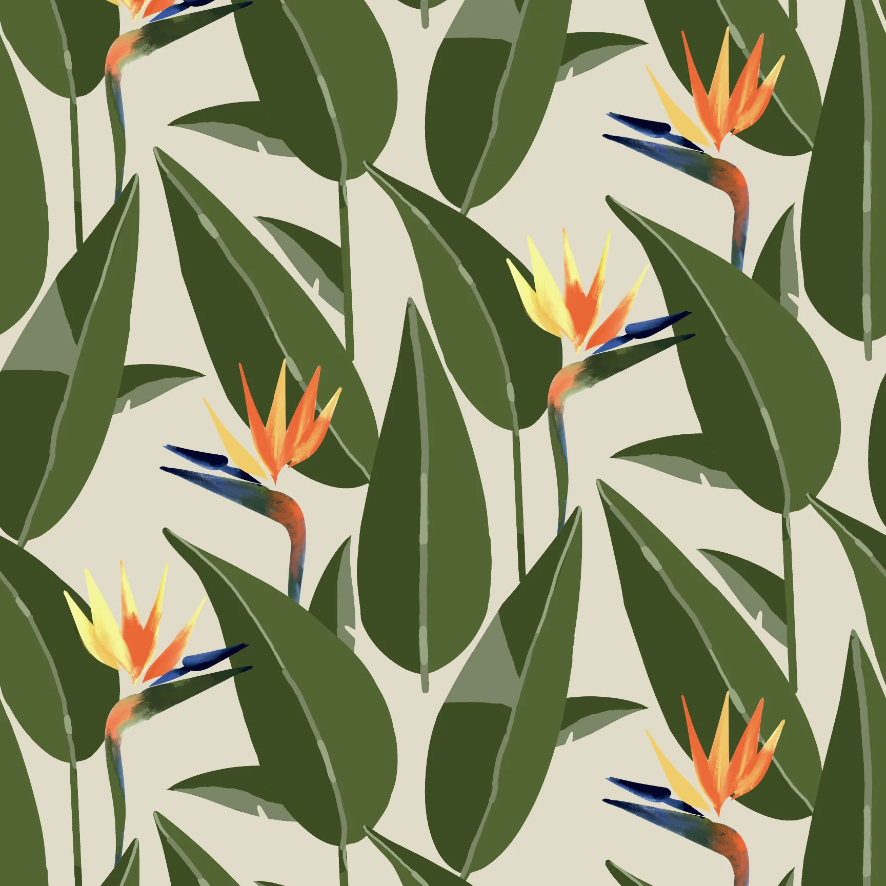 Birds of Paradise - Sand Wallpaper | Mitchell Black
