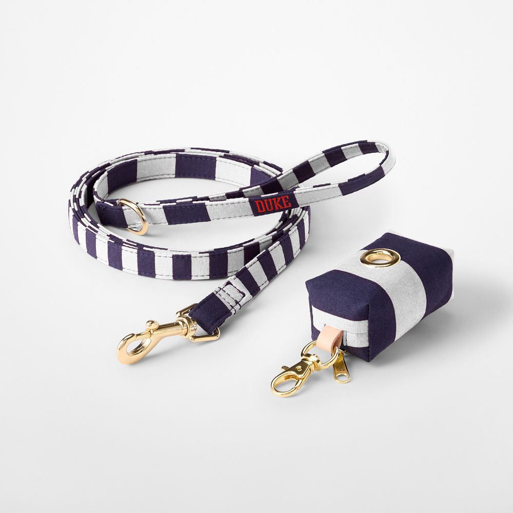 Cabana Stripe Dog Leash | Mark and Graham