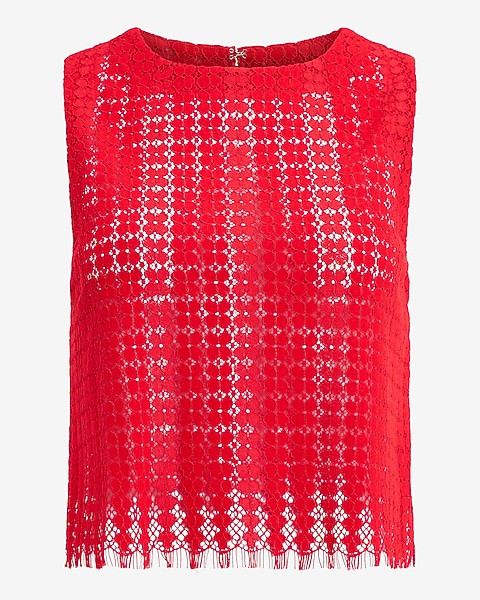 Sheer Lace Crew Neck Tank | Express
