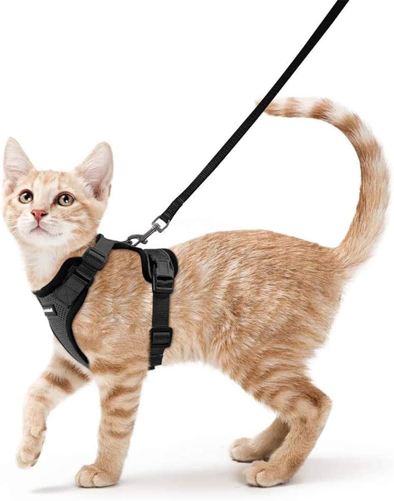 rabbitgoo Cat Harness and Leash for Walking, Escape Proof Soft Adjustable Vest Harnesses for Cats... | Amazon (US)