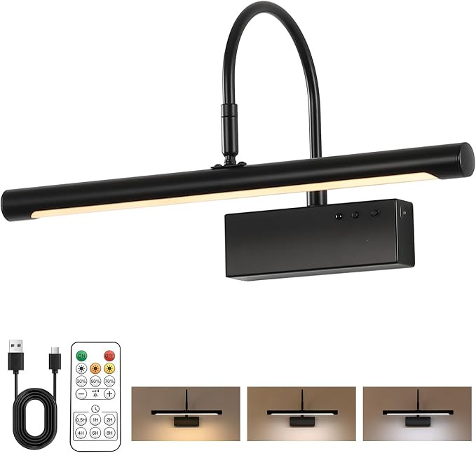Picture Light, 5000mAh Battery Rechargeable Wall Sconce,16 inch Black Art Painting Light with Rem... | Amazon (US)