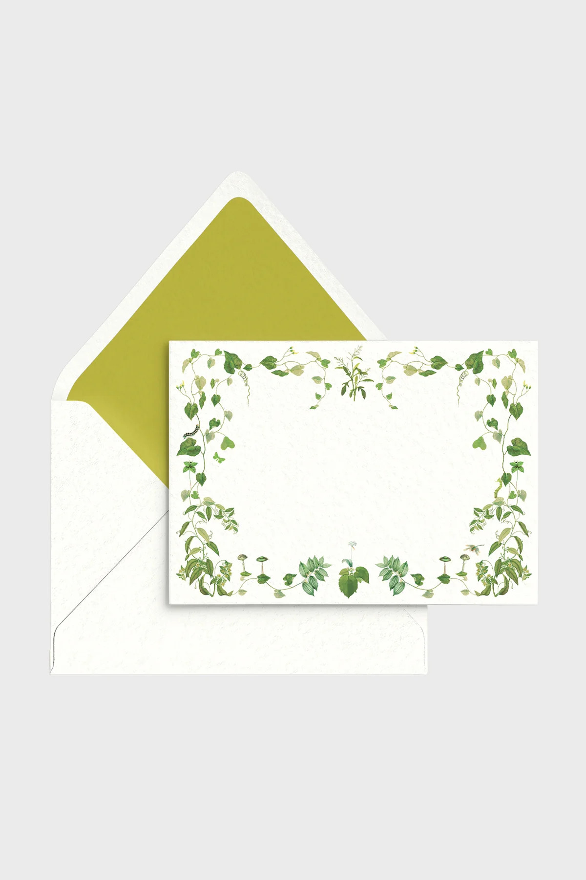 Selva Stationery | Tuckernuck (US)