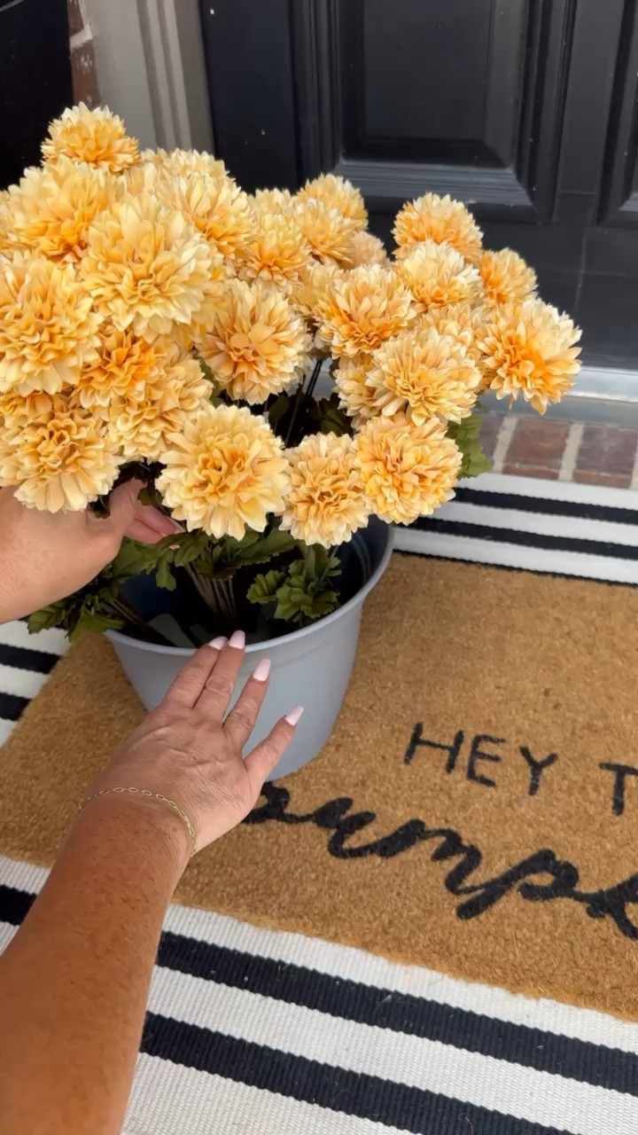 These mums are so fun for the fall months! Linked all below ⬇️

#LTKSeasonal #LTKhome #LTKFind