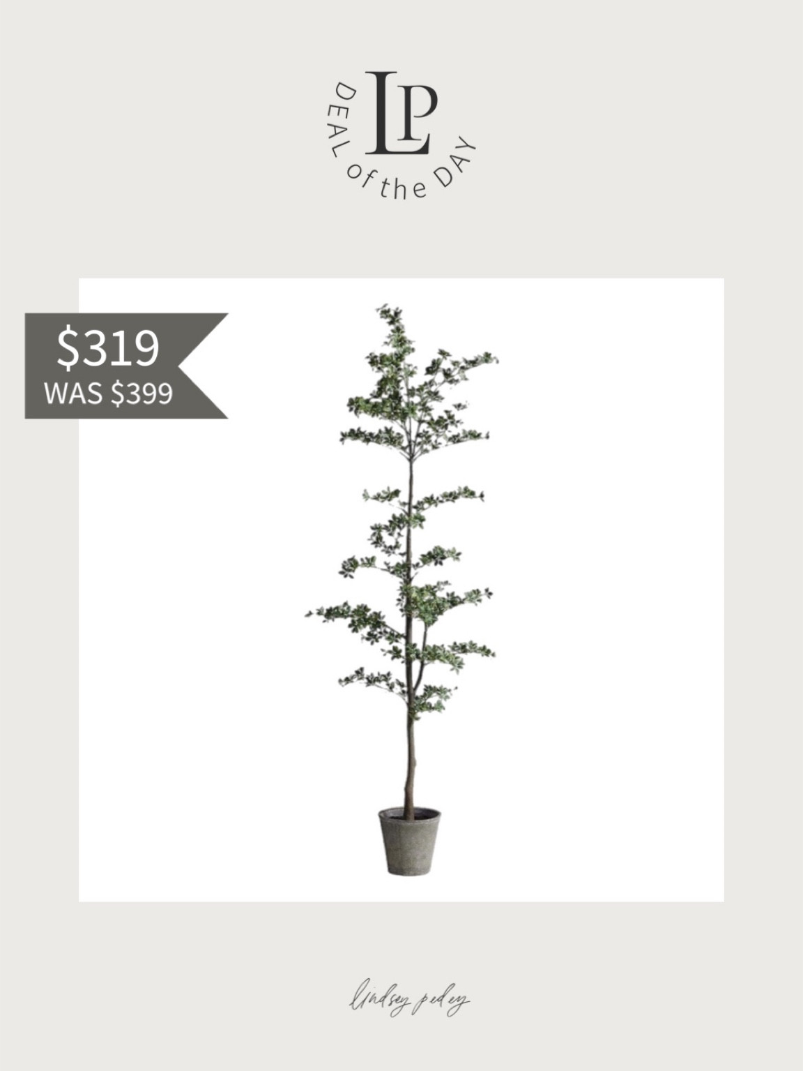 Pottery barn faux tree is 20% off! Love this new shady lady style! 😍

Faux tree, olive tree, home decor, look for less, affordable finds

#LTKFind #LTKhome #LTKsalealert