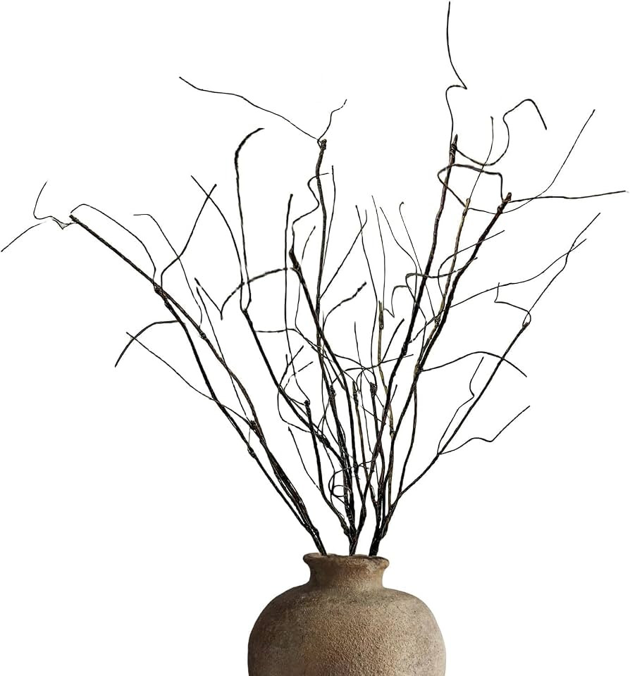 Eiyye Bendable Curly Willow Branches for Vase Stretchable Artificial Twigs for DIY Home Decor Sha... | Amazon (US)
