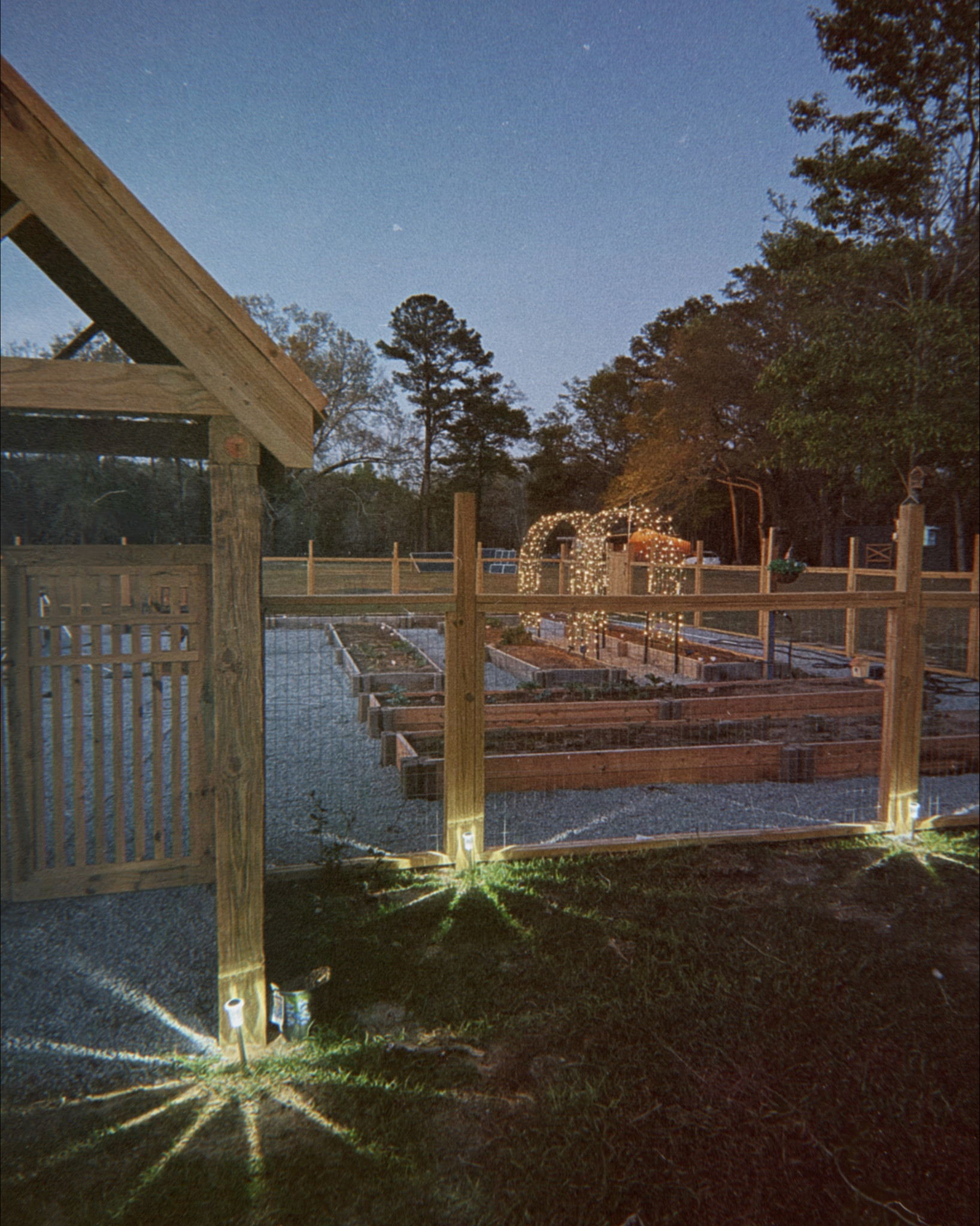 Twinkling lights to elevate your garden! ✨🦋🧚🏼🤍

#LTKHome #LTKdayinmylife #LTKmomlife