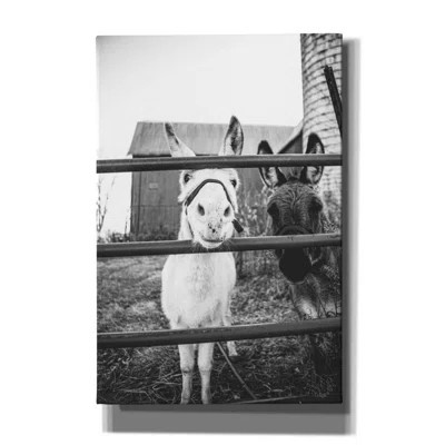 Donkeys by - Print | Wayfair North America