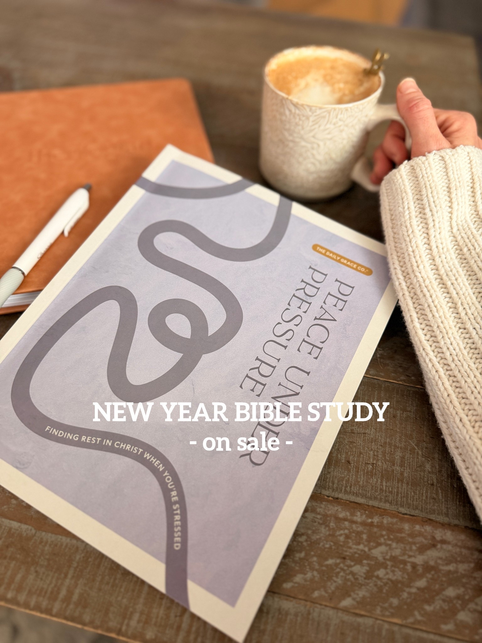 The new year Bible study from The Daily Grace Co is on sale! Start the new year addressing anxiety and overwhelm at the root, from a biblical perspective! 

#LTKSaleAlert #LTKActive #LTKSeasonal